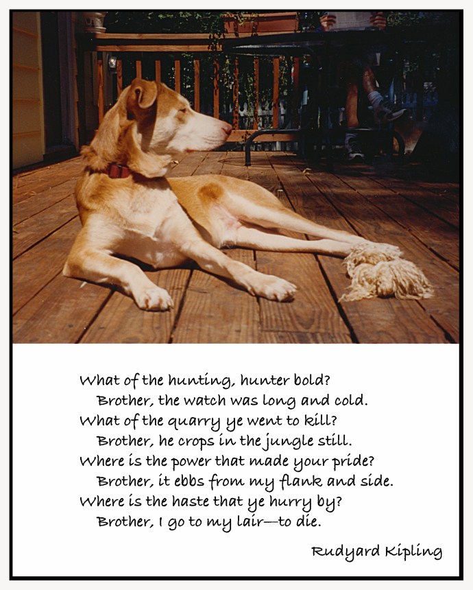 Rest in Peace, old friend...